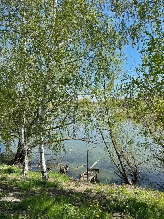 Дом в Воронежская область, с. Каширское пер. Советский (80 м) - Фото 0