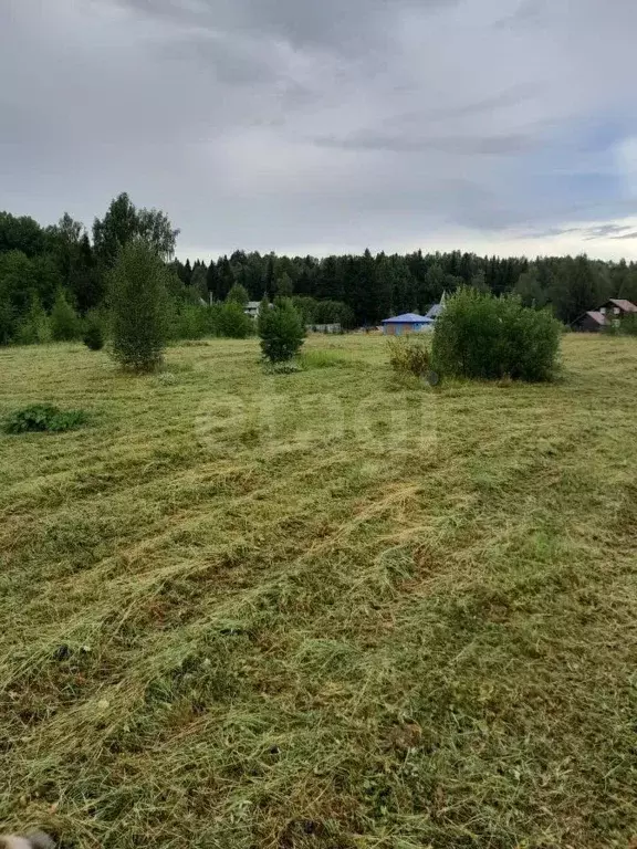 Участок в Вологодская область, д. Сестрилка  (560.0 сот.) - Фото 2