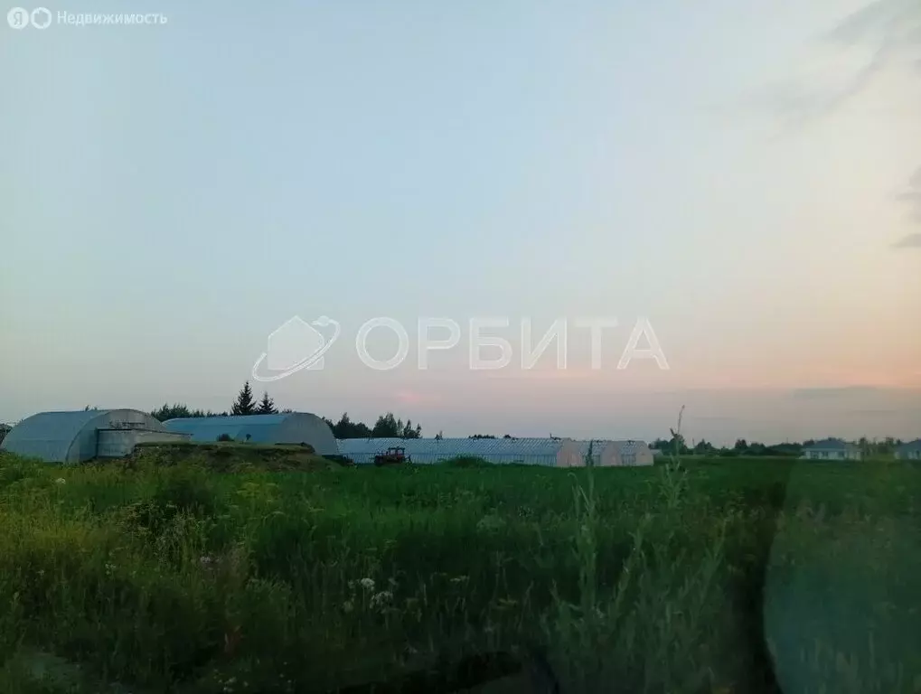 Участок в Тюменский муниципальный округ, село Каскара (300 м) - Фото 1