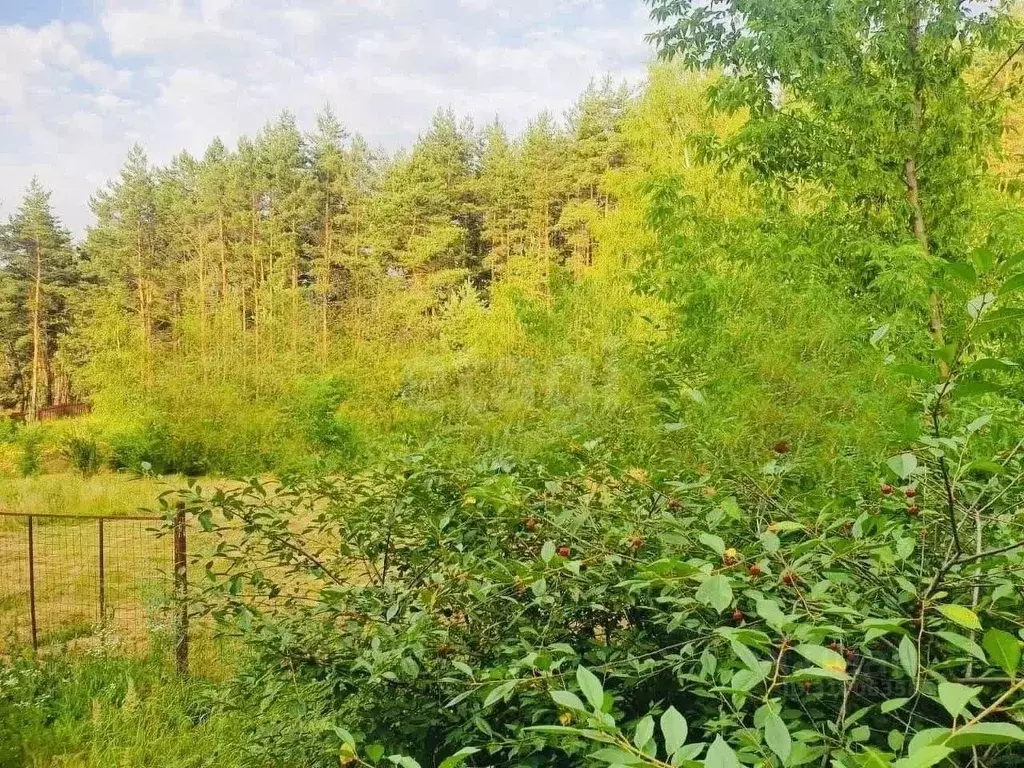 Участок в Курская область, Курский район, Моковский сельсовет, д. ... - Фото 0