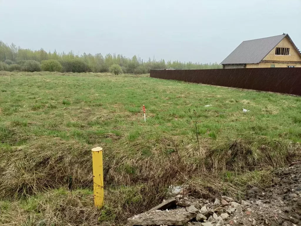 Участок в Ярославская область, Тутаевский муниципальный округ, д. ... - Фото 1