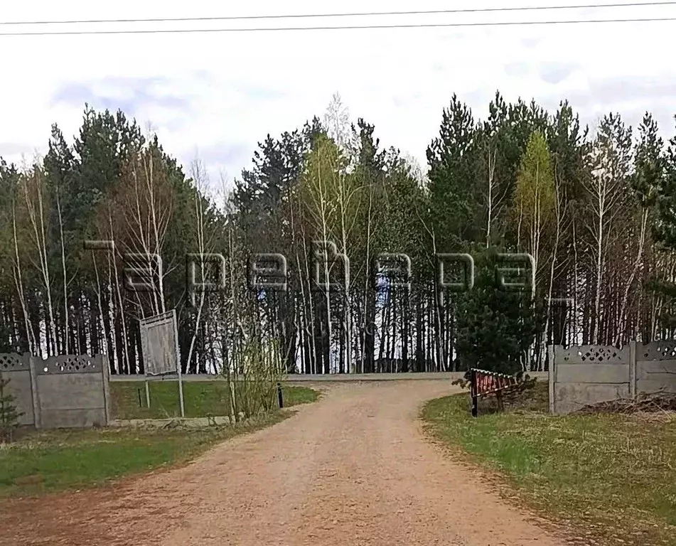 Участок в Красноярский край, Емельяновский муниципальный округ, ... - Фото 1