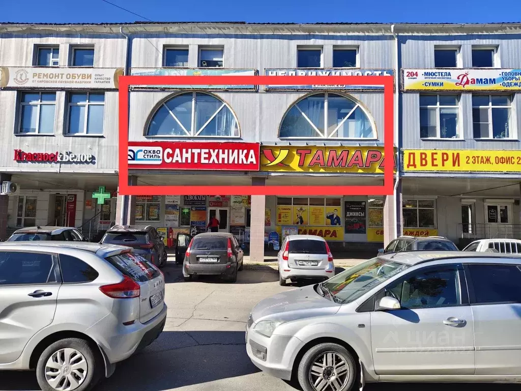 Торговая площадь в Самарская область, Тольятти просп. Степана Разина, ... - Фото 2