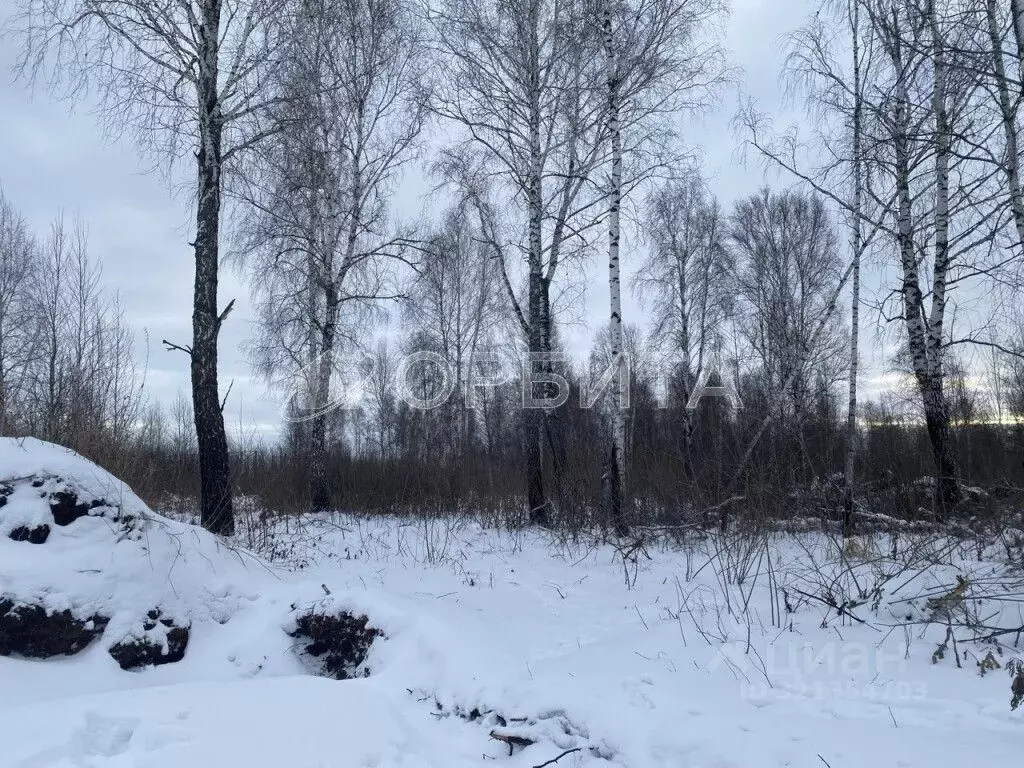 Участок в Тюменская область, Тюмень Велижанский тракт, 7-й км (40.0 ... - Фото 1
