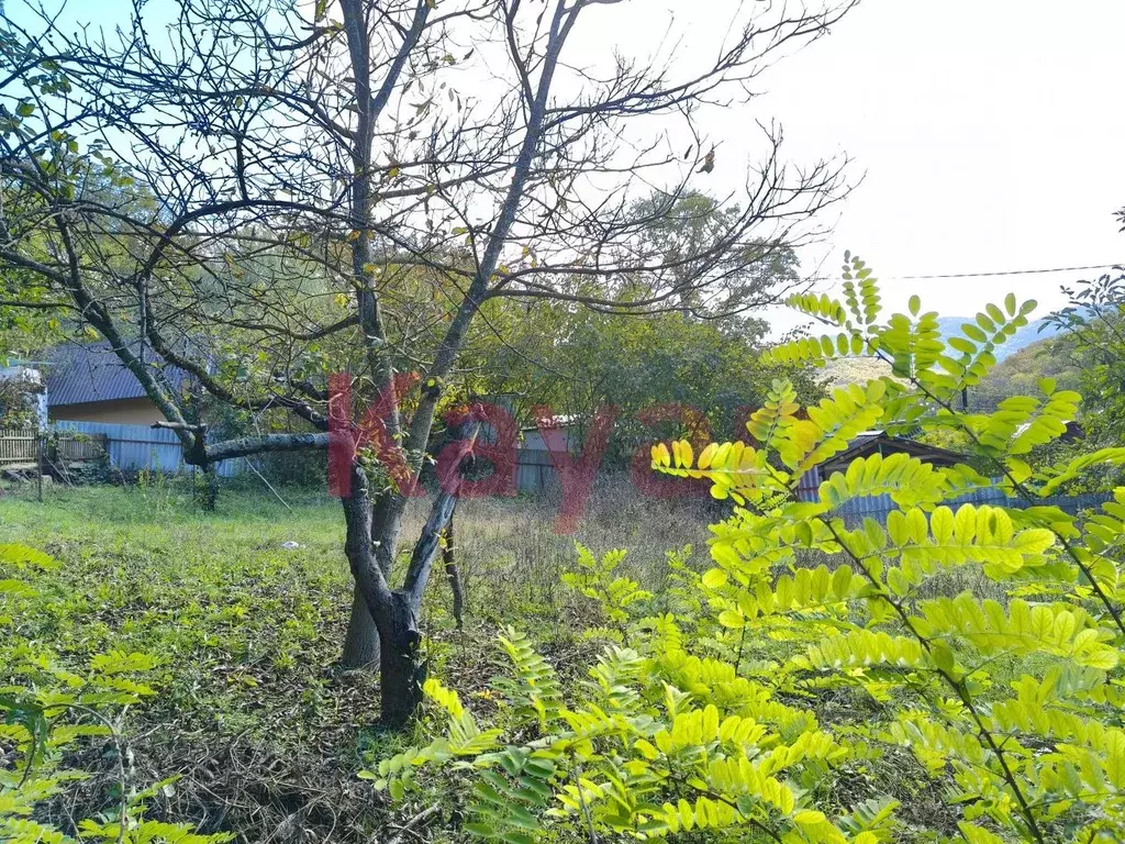 Участок в Краснодарский край, Геленджик городской округ, Широкая Щель ... - Фото 1