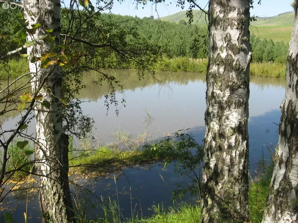 Участок в Нижнекаянча, Центральная улица, 54 (1900 м) - Фото 0