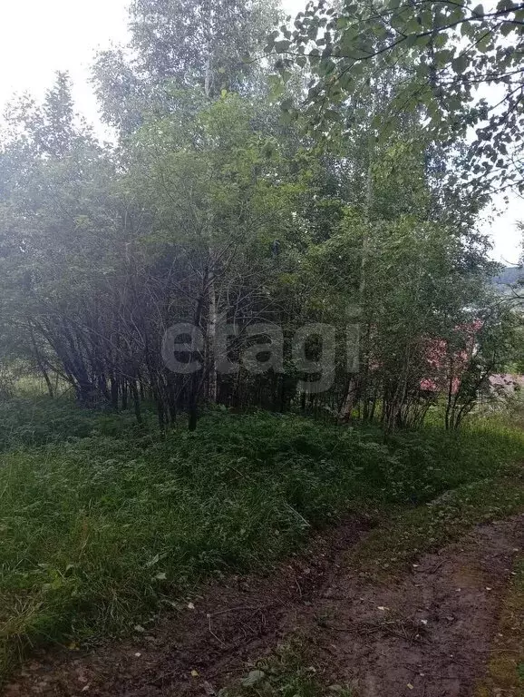 Участок в Горно-Алтайск, СНТ Юбилейное (4.5 м) - Фото 1