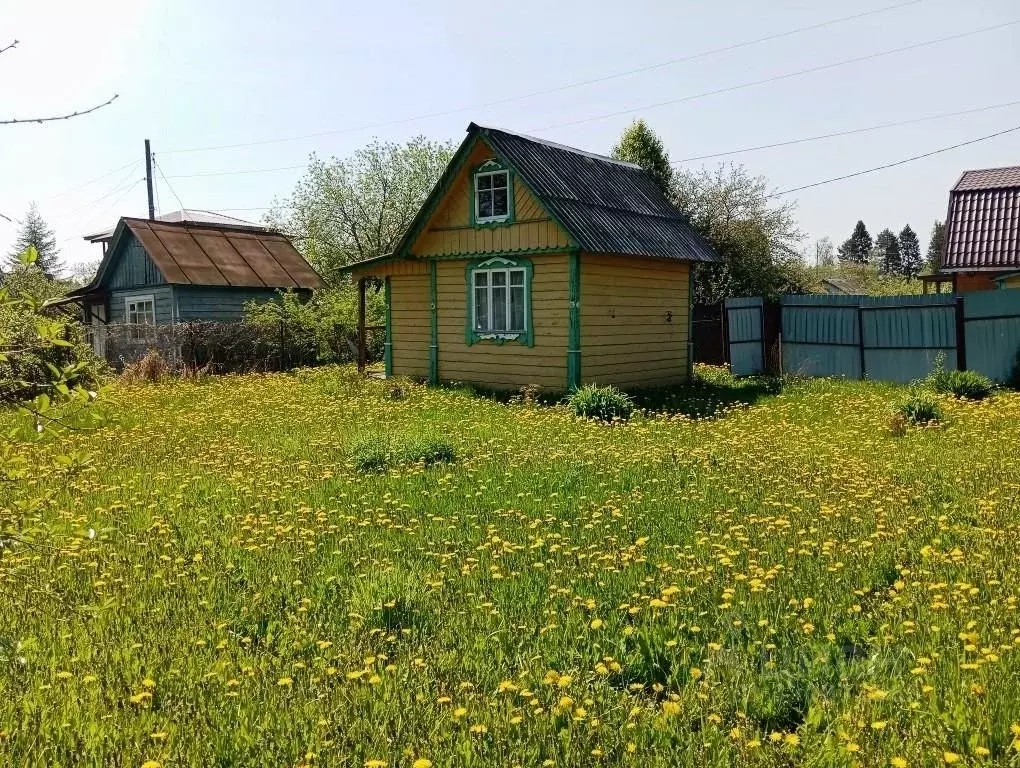 Участок в Владимирская область, Киржач Солнечный СНТ, 128 (4.0 сот.) - Фото 1