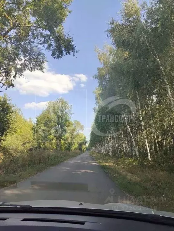 Участок в Воронежская область, Новоусманский район, Усманское 1-е ... - Фото 2