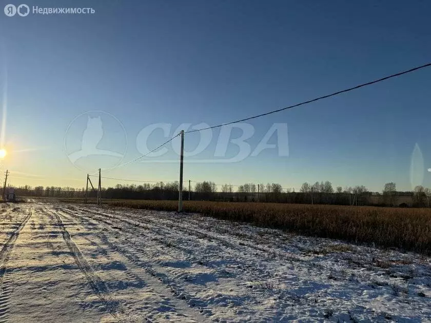 Участок в Червишевское муниципальное образование (9 м) - Фото 0