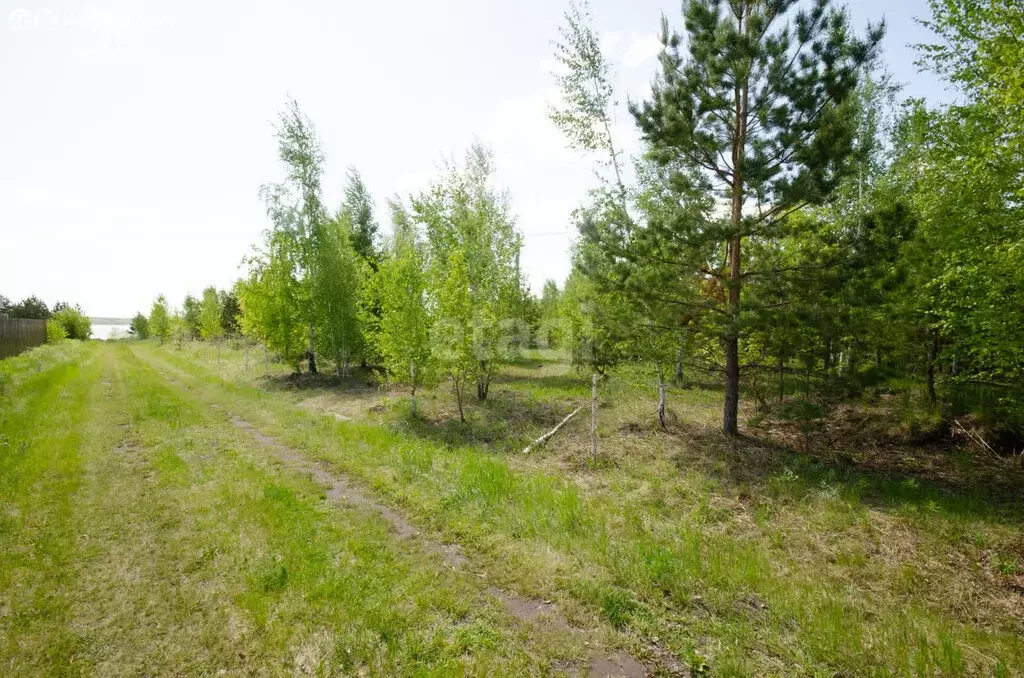 Участок в село Сингуль Татарский, Олимпийская улица (15 м) - Фото 0