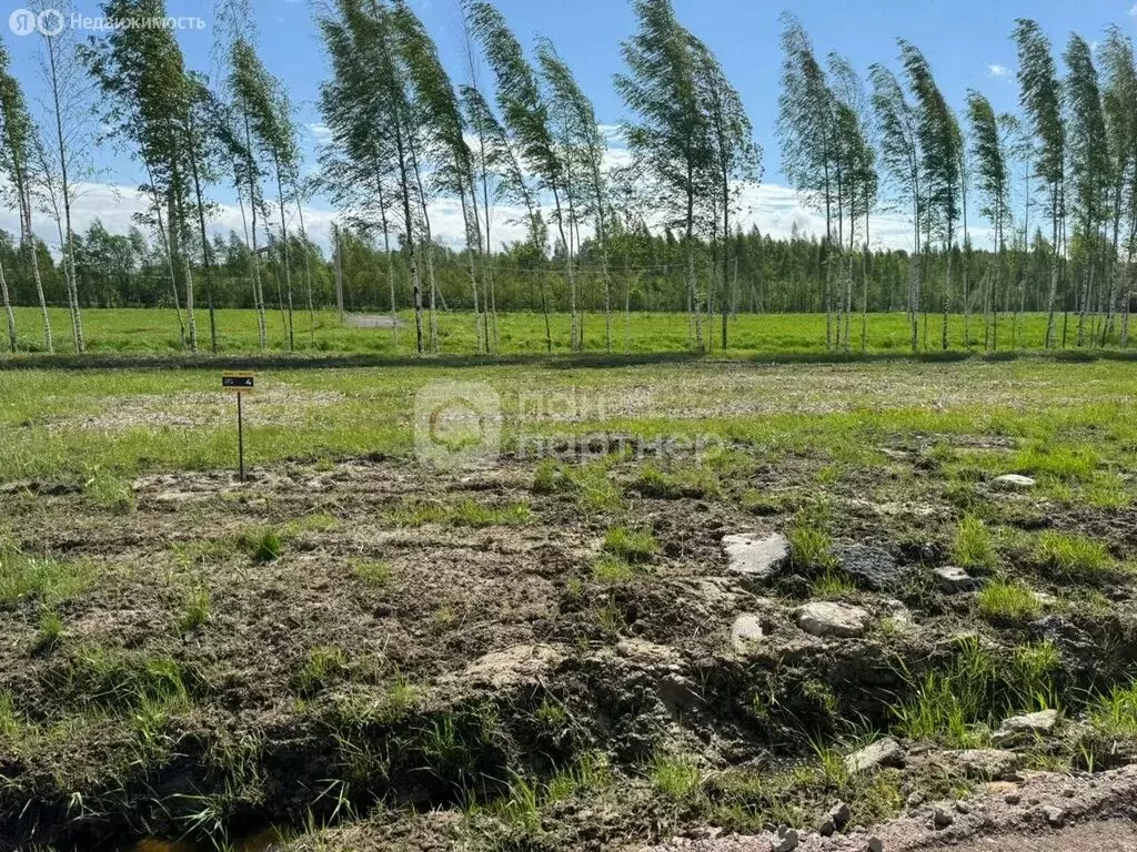 Участок в Бугровское городское поселение, коттеджный поселок Охта Лэнд ... - Фото 0