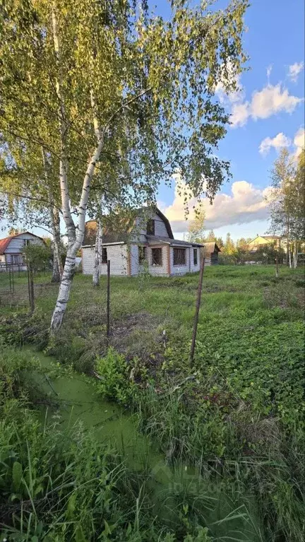 Участок в Санкт-Петербург, Санкт-Петербург, Павловск Павловское-1 СНТ, ... - Фото 0