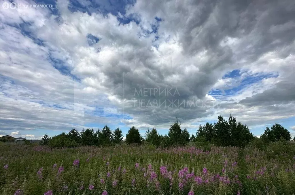 Участок в Тюменский район, коттеджный посёлок Новокаменский, улица ... - Фото 1