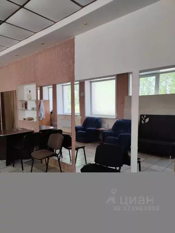 Помещение свободного назначения в Кемеровская область, Прокопьевск ул. ... - Фото 1