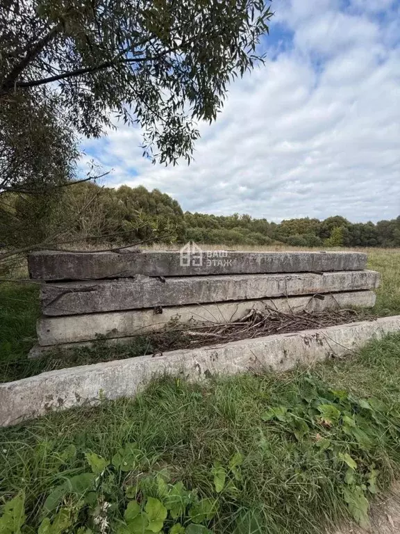 Участок в Калужская область, Перемышльский район, Хотисино с/пос, д. ... - Фото 1