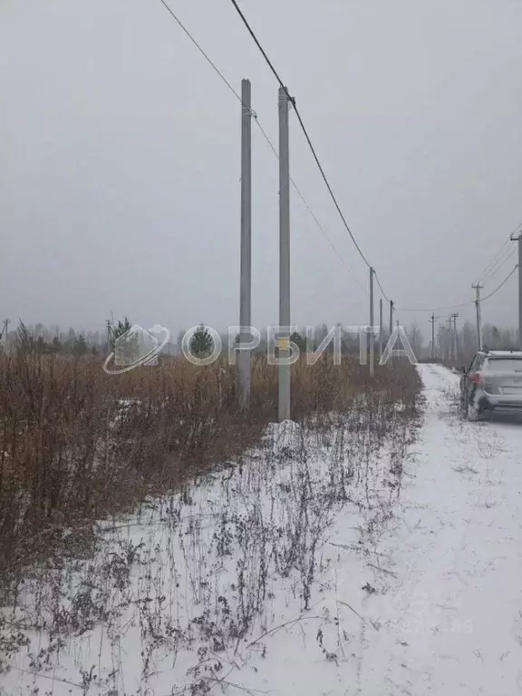 Участок в Тюменская область, Нижнетавдинский муниципальный округ, ... - Фото 2