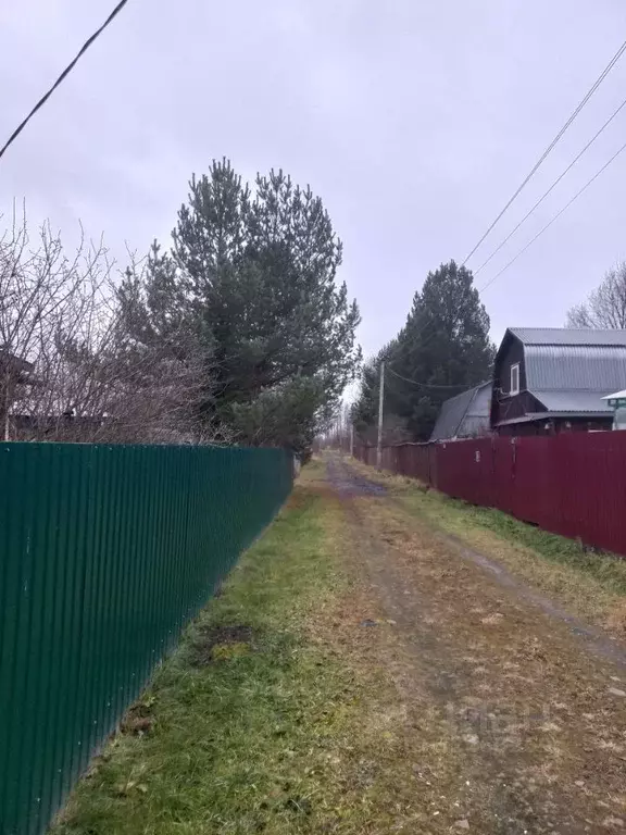 Участок в Костромская область, Костромской район, Бакшеевское с/пос, ... - Фото 1