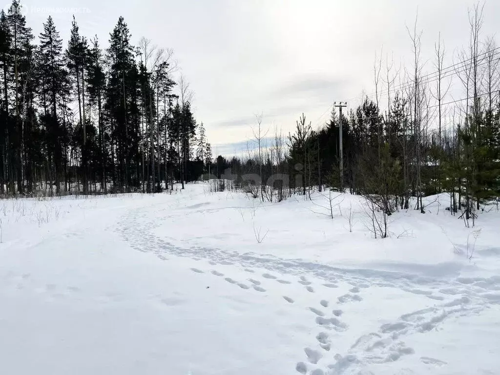 Участок в посёлок городского типа Краснозатонский, Просторная улица ... - Фото 1