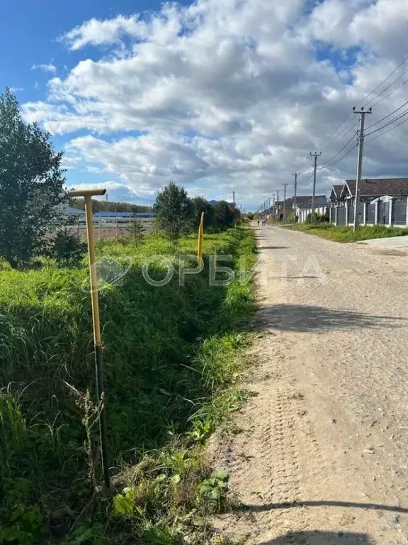 Участок в Тюменская область, Тюменский район, с. Ембаево ул. ... - Фото 0