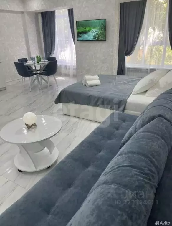 Студия Ставропольский край, Кисловодск ул. Пушкина (33.3 м) - Фото 1