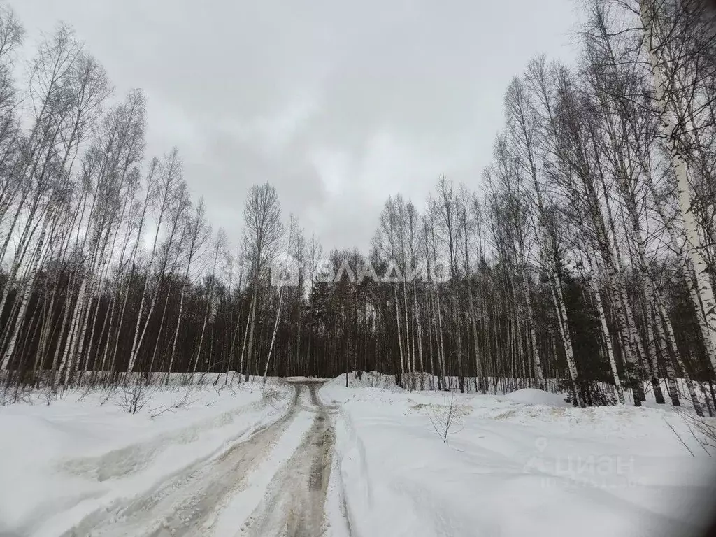 Участок в Владимирская область, Владимир Лунево мкр, ул. Луневская ... - Фото 0
