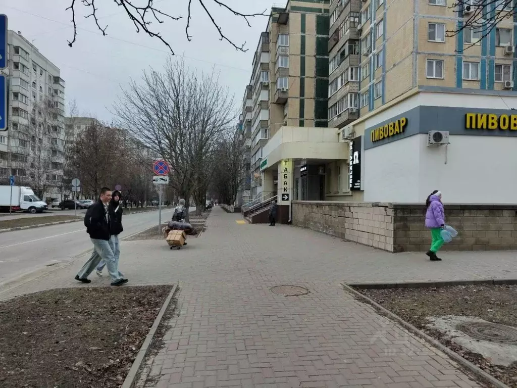 Помещение свободного назначения в Белгородская область, Белгород бул. ... - Фото 2