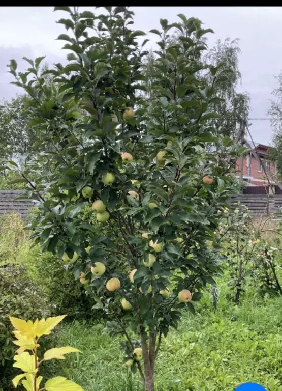 Дом в Ленинградская область, Гатчинский муниципальный округ, Тайцы ... - Фото 2