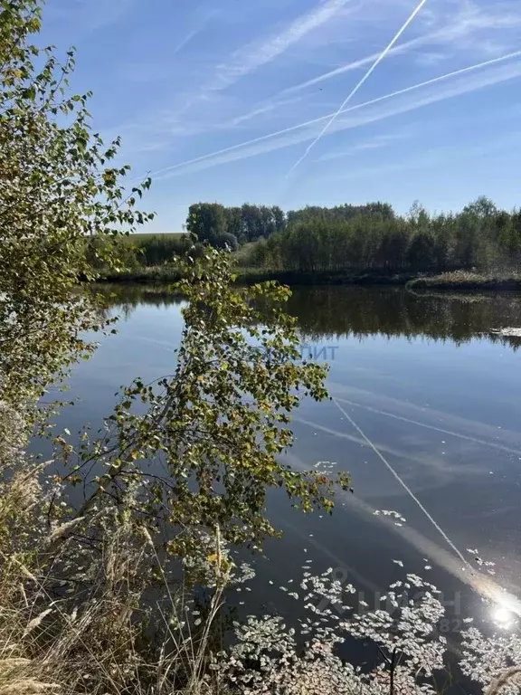 Участок в Нижегородская область, Богородский муниципальный округ, с. ... - Фото 0