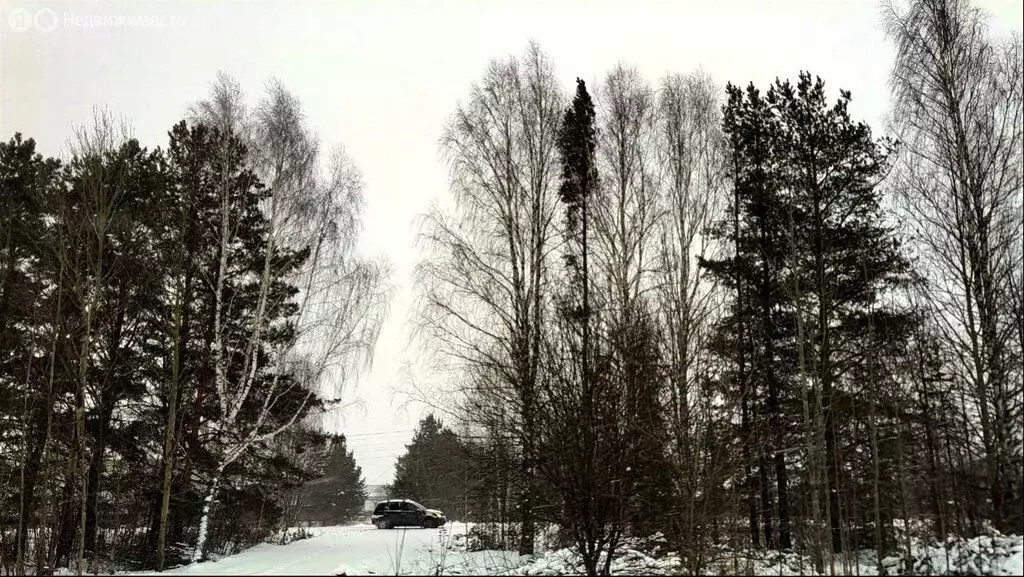 Участок в посёлок Юго-Камский, Молодёжная улица (12 м) - Фото 2