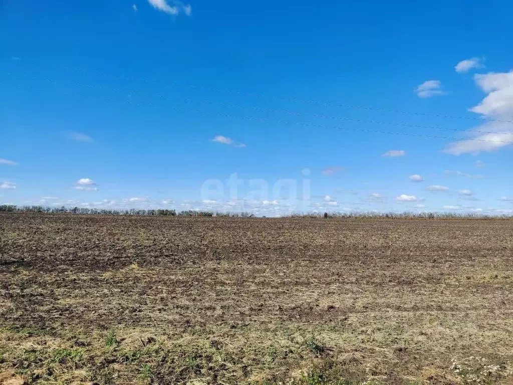 Участок в Белгородская область, Красногвардейский район, Никитовское ... - Фото 1