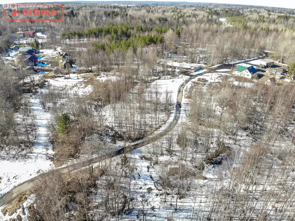 Участок в Пряжинский район, село Святозеро (36.8 м) - Фото 2