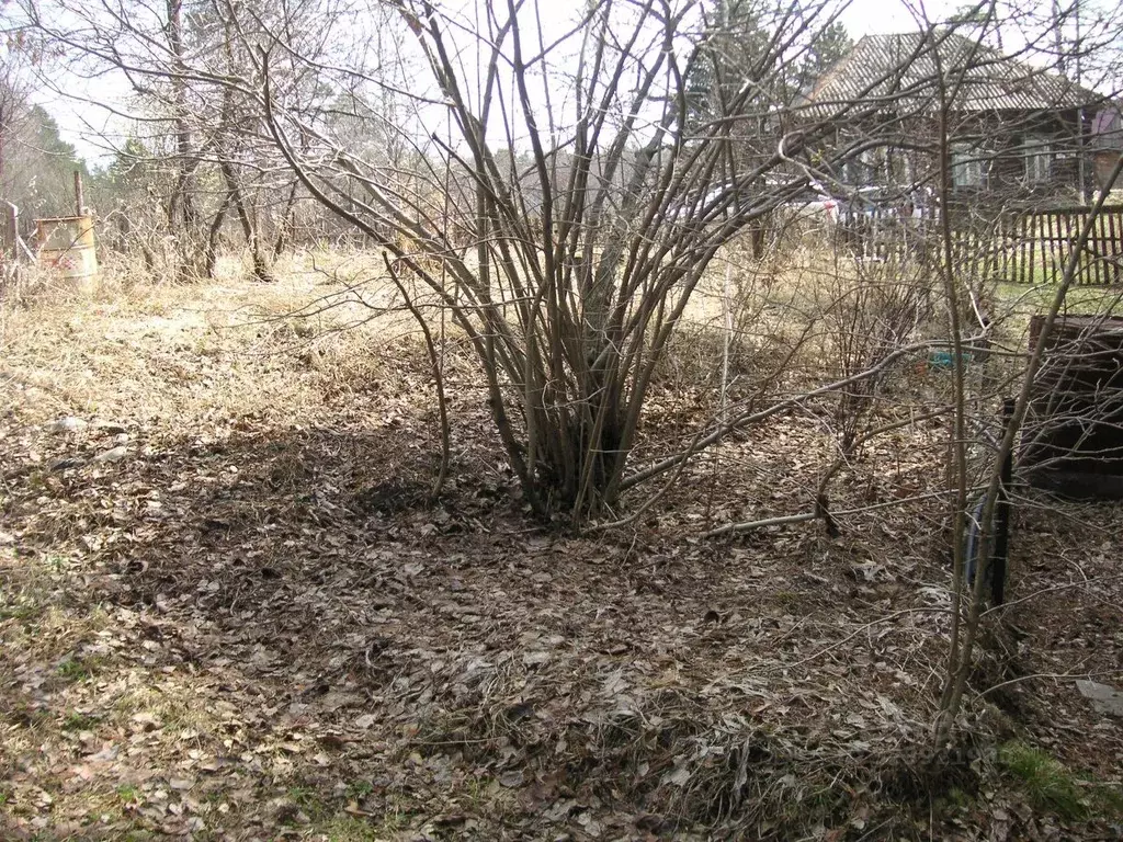 Дом в Томская область, Томск ул. Циолковского, 18 (50 м) - Фото 2