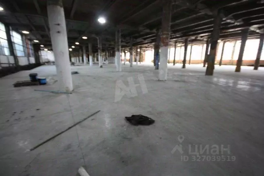 Склад в Московская область, Ногинск Богородский городской округ, ул. ... - Фото 2