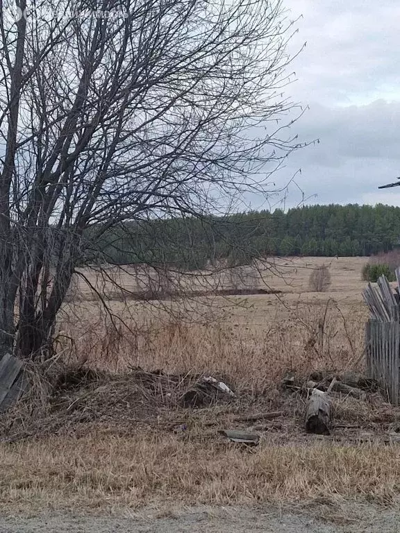 Дом в Свердловская область, Режевской муниципальный округ, село ... - Фото 2