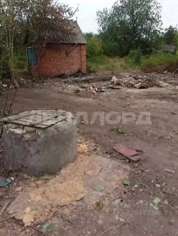 Участок в Ростовская область, Азов Азовский район, Машиностроитель-1 ... - Фото 2