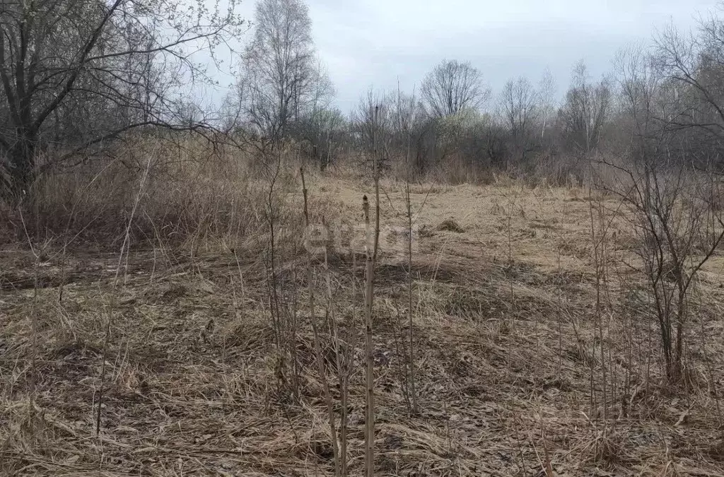 Дом в Хабаровский край, Хабаровский район, с. Ракитное, Квартал ... - Фото 1