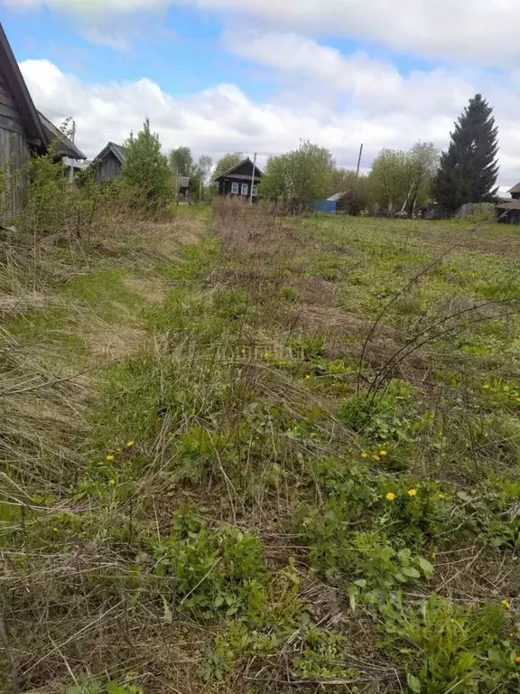 Участок в Марий Эл, Медведевский район, Люльпанское с/пос, д. Малая ... - Фото 1