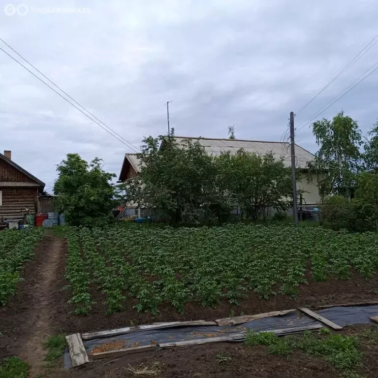 Дом в Республика Саха (Якутия), городской округ Жатай, рабочий посёлок ... - Фото 2