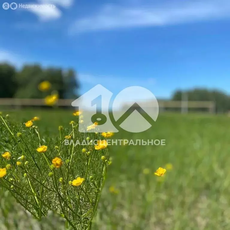 Участок в Толмачёвский сельсовет, СНТ Рябинка Обская (5.9 м) - Фото 0