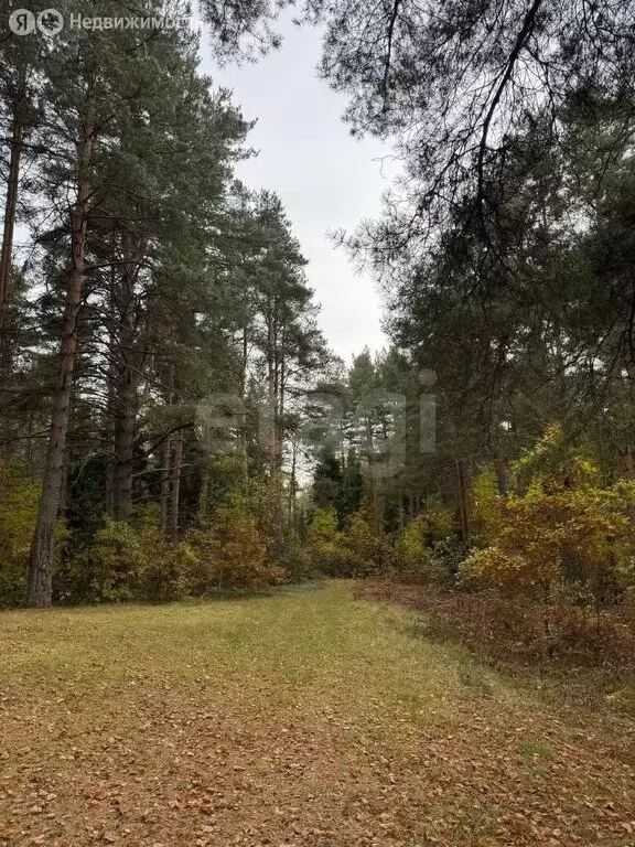 Участок в Красносельский район, Шолоховское сельское поселение, ... - Фото 1