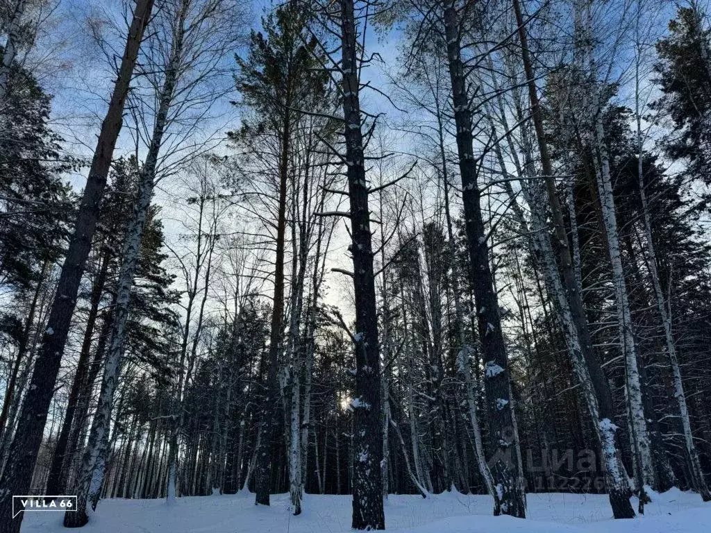 Участок в Свердловская область, Сысертский городской округ, пос. ... - Фото 0