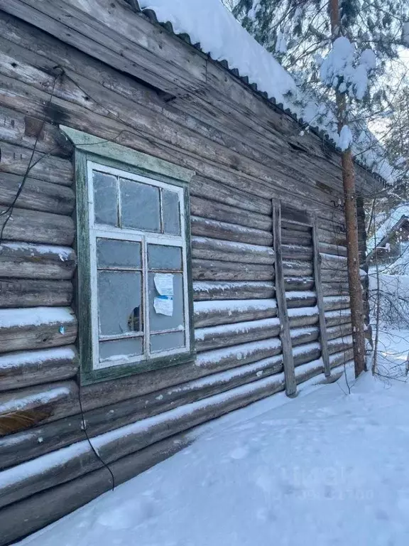 Помещение свободного назначения в Вологодская область, Бабаевский ... - Фото 0