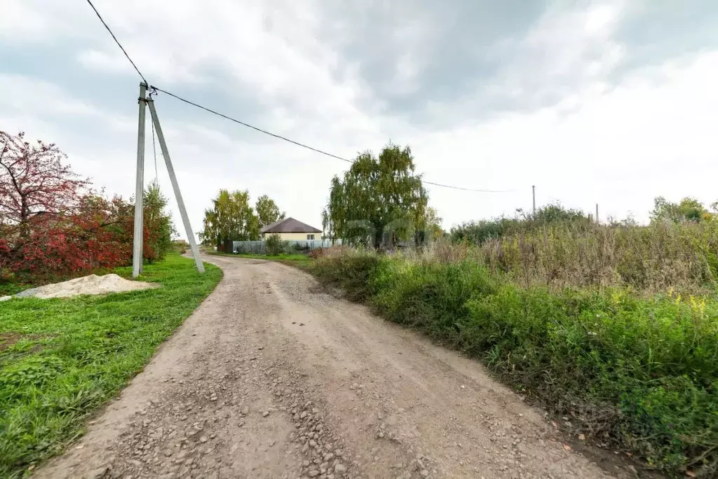 Участок в Курганская область, Кетовский муниципальный округ, с. Новая ... - Фото 1