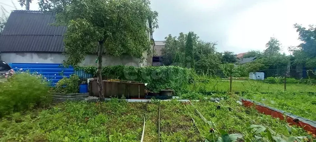 Дом в Калининградская область, Калининград Колосок СНТ, ул. ... - Фото 1