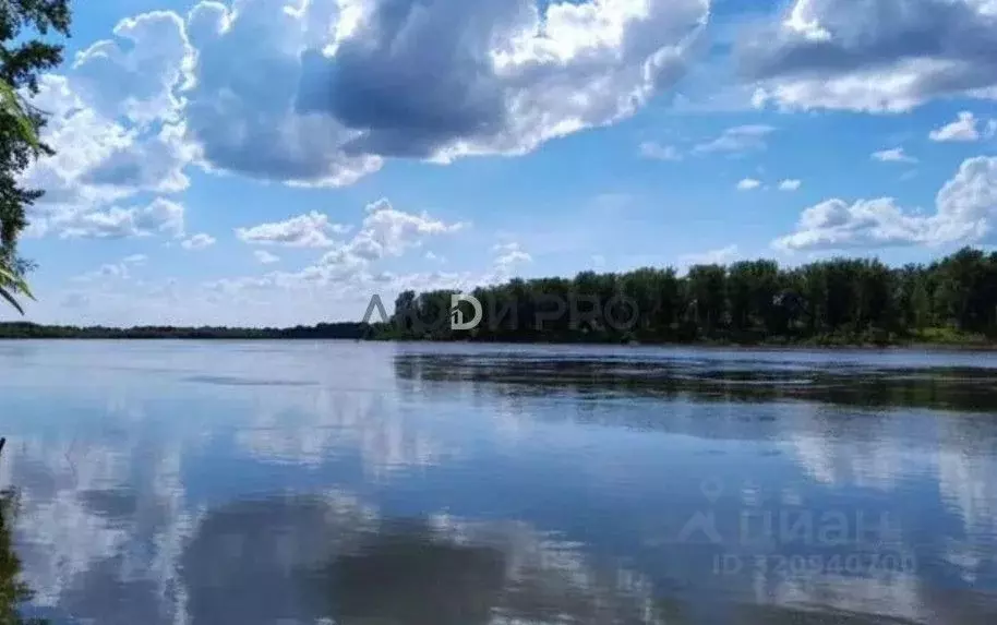Участок в Башкортостан, Благовещенский район, Удельно-Дуванейский ... - Фото 2