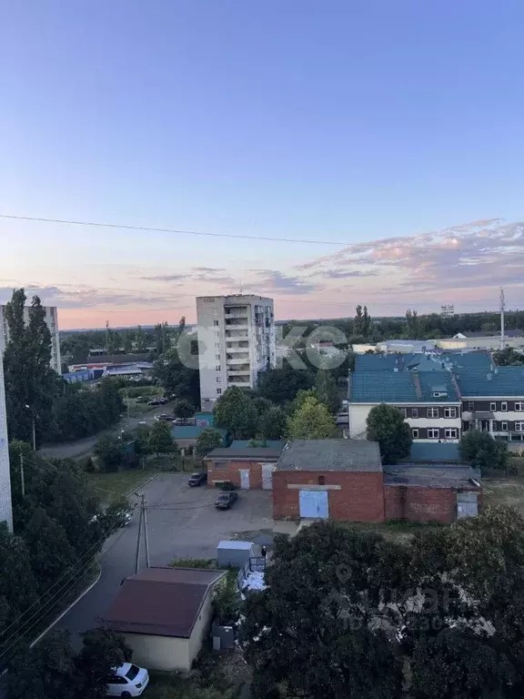 1-к кв. Адыгея, Майкоп ул. Димитрова (28.0 м) - Фото 0