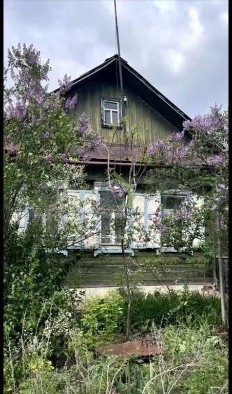 Дом в Самарская область, Сызрань ул. Левина, 54А (89 м) - Фото 2