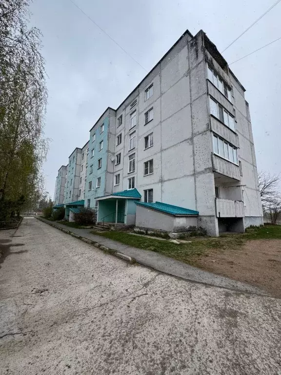 4-к кв. Псковская область, Остров Пригородная ул., 16 (83.0 м) - Фото 2