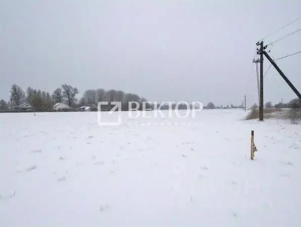 Участок в Костромская область, Костромской район, Шунгенское с/пос, с. ... - Фото 1